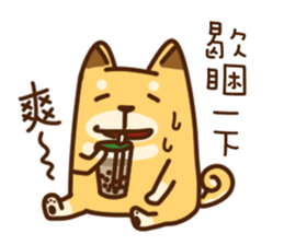 Fat Shiba dog say Taiwanese sticker #12313270