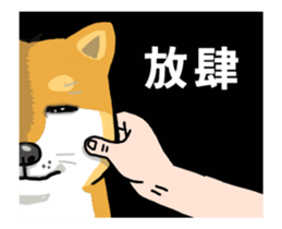 dog face off sticker sticker #12313768