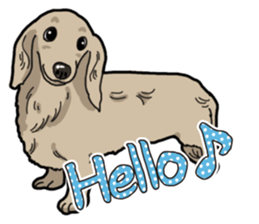 Daily Miniature Dachshund sticker #12313910