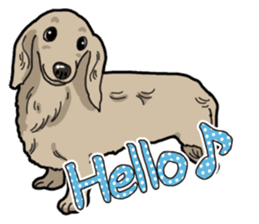 Daily Miniature Dachshund sticker #12313910