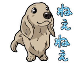 Daily Miniature Dachshund sticker #12313912