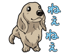 Daily Miniature Dachshund sticker #12313912