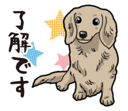 Daily Miniature Dachshund sticker #12313913