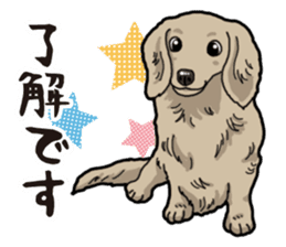 Daily Miniature Dachshund sticker #12313913