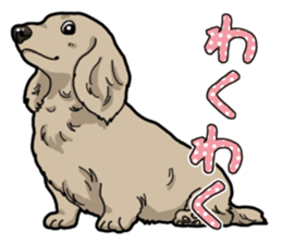 Daily Miniature Dachshund sticker #12313914
