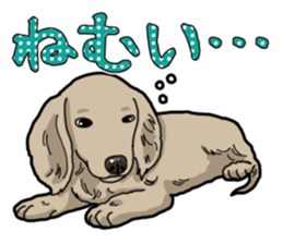 Daily Miniature Dachshund sticker #12313916