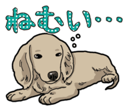 Daily Miniature Dachshund sticker #12313916