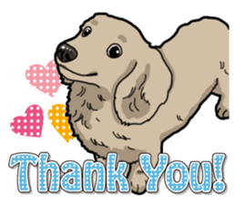 Daily Miniature Dachshund sticker #12313920