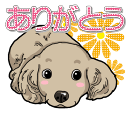 Daily Miniature Dachshund sticker #12313921