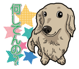 Daily Miniature Dachshund sticker #12313922