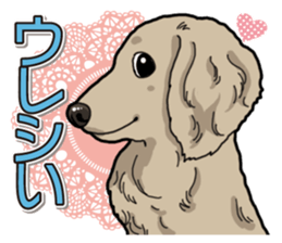 Daily Miniature Dachshund sticker #12313923