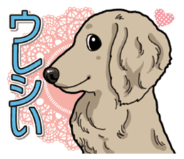 Daily Miniature Dachshund sticker #12313923