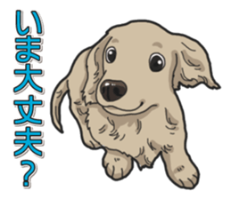 Daily Miniature Dachshund sticker #12313924