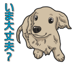 Daily Miniature Dachshund sticker #12313924