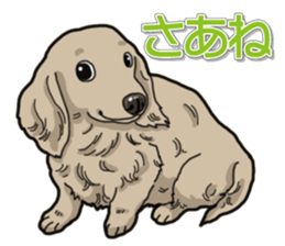 Daily Miniature Dachshund sticker #12313925