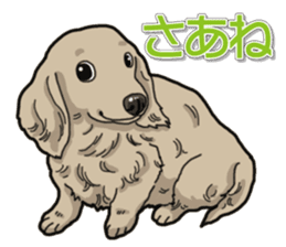 Daily Miniature Dachshund sticker #12313925