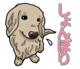 Daily Miniature Dachshund sticker #12313927