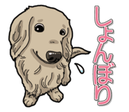 Daily Miniature Dachshund sticker #12313927