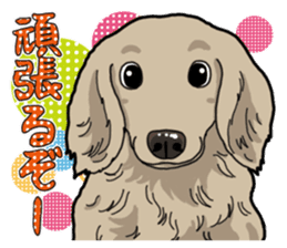 Daily Miniature Dachshund sticker #12313929