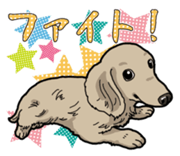 Daily Miniature Dachshund sticker #12313930