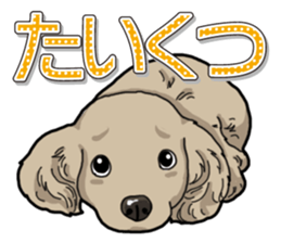 Daily Miniature Dachshund sticker #12313931