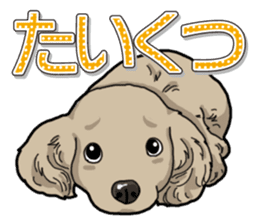 Daily Miniature Dachshund sticker #12313931