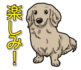 Daily Miniature Dachshund sticker #12313932