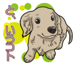 Daily Miniature Dachshund sticker #12313934
