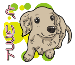 Daily Miniature Dachshund sticker #12313934