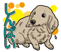 Daily Miniature Dachshund sticker #12313935