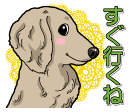 Daily Miniature Dachshund sticker #12313936