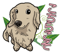 Daily Miniature Dachshund sticker #12313937