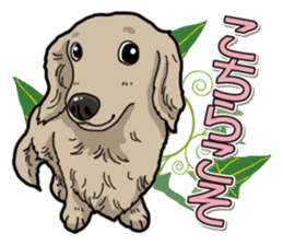 Daily Miniature Dachshund sticker #12313937