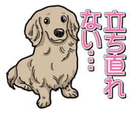 Daily Miniature Dachshund sticker #12313939
