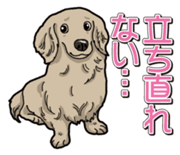 Daily Miniature Dachshund sticker #12313939