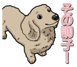 Daily Miniature Dachshund sticker #12313940