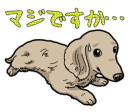 Daily Miniature Dachshund sticker #12313941