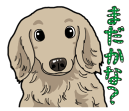 Daily Miniature Dachshund sticker #12313942