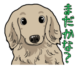 Daily Miniature Dachshund sticker #12313942