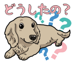 Daily Miniature Dachshund sticker #12313943