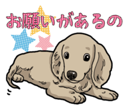 Daily Miniature Dachshund sticker #12313944