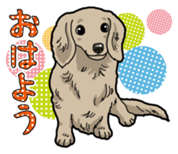Daily Miniature Dachshund sticker #12313947