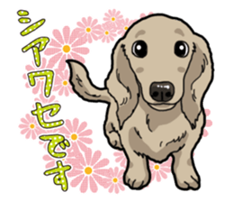 Daily Miniature Dachshund sticker #12313949