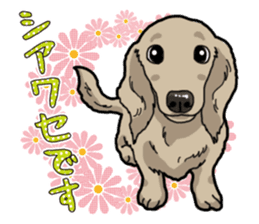 Daily Miniature Dachshund sticker #12313949