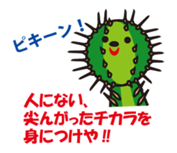 Mr. Cactus living in Kansai <ver.3> sticker #12320070