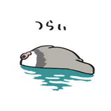 Sea otter baby sticker #12320191