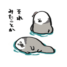 Sea otter baby sticker #12320197