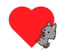 Schipperke sticker #12323099