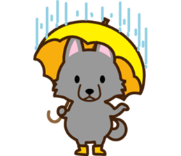 Schipperke sticker #12323107