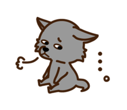 Schipperke sticker #12323108